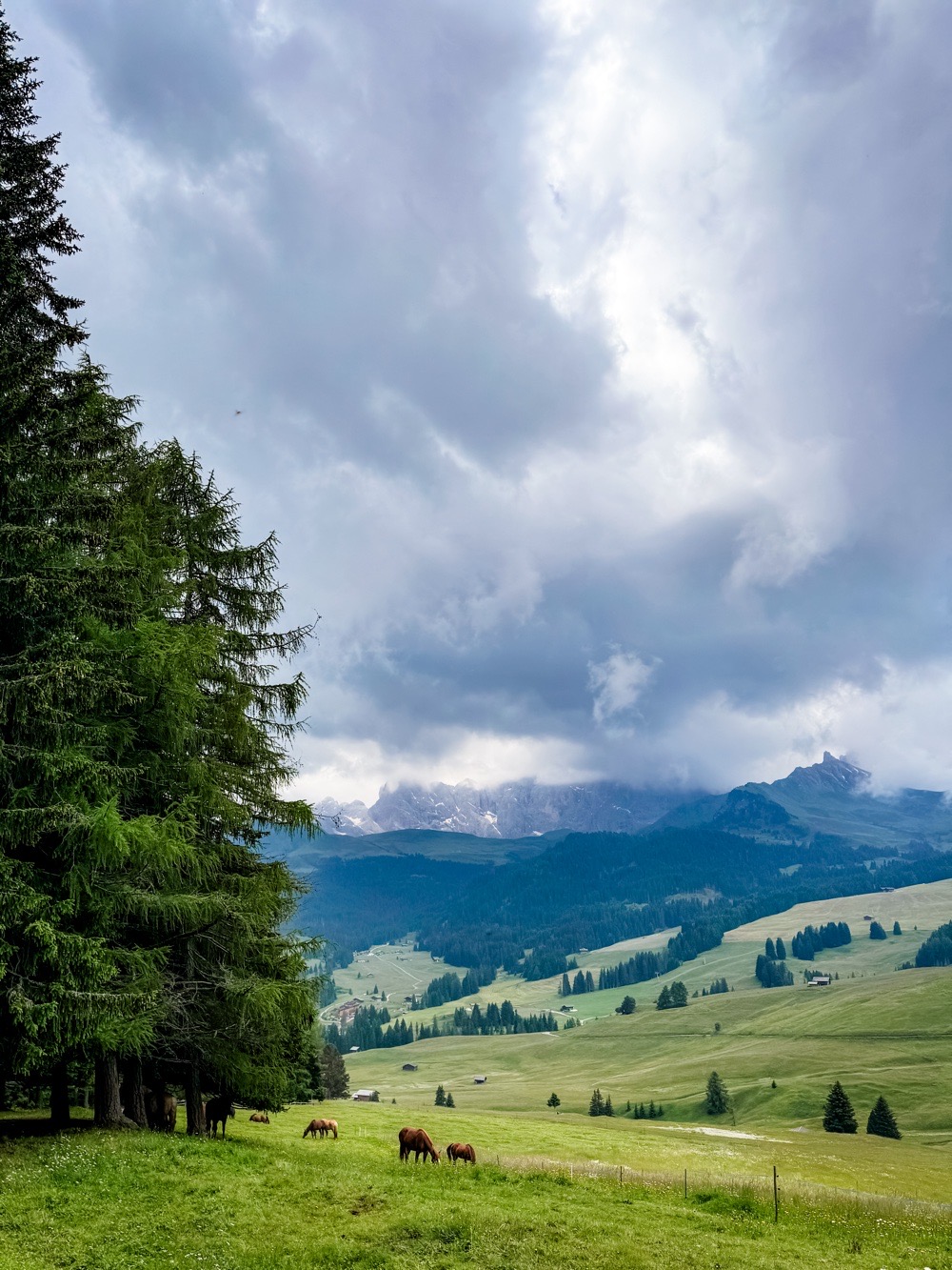 Alpe di Siusi