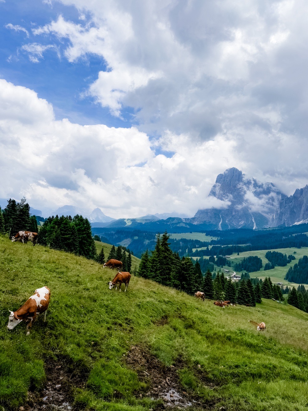 Alpe di Siusi